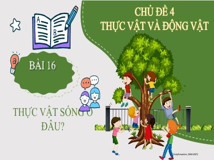 Bài giảng Tự nhiên và Xã hội Lớp 2 (Kết nối tri thức) - Chủ đề 4: Thực vật và động vật - Bài 16: Thực vật sống ở đâu
